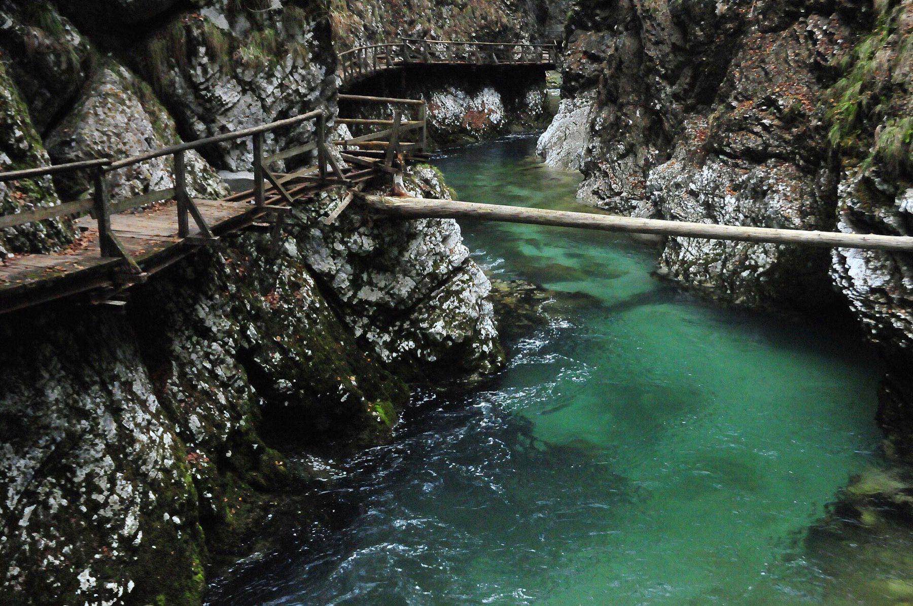 Wooden boardwalk hugging the turquoise Radovna River through Vintgar Gorge near Bled