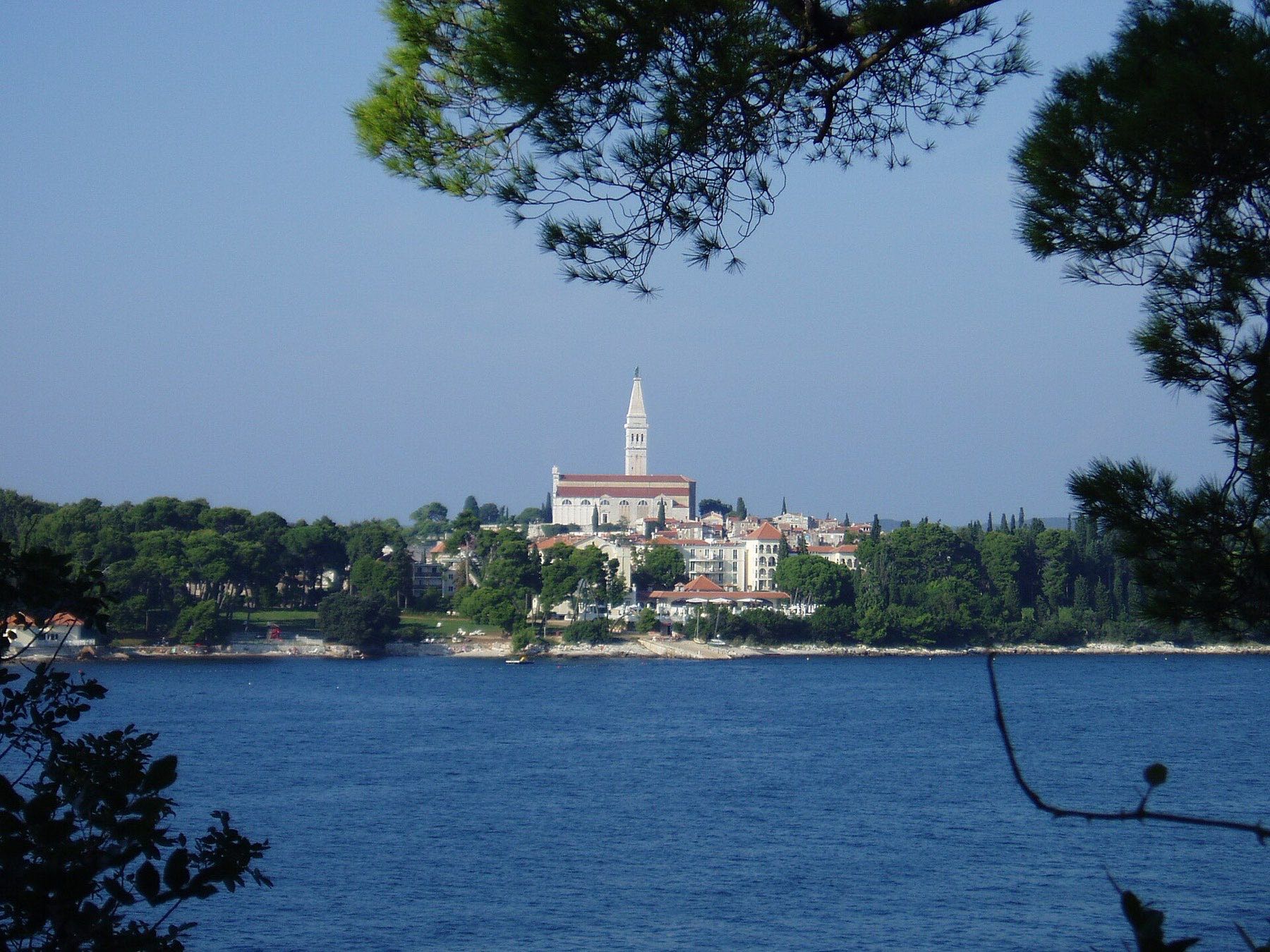 Rovinj old town and St. Katarina Island viewed from the pine shade of Zlatni Rt forest park